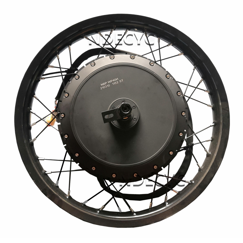 NBpower/QS V3 273 40H Motorcyc - Qs Motor 273 8000W Hub Motor ulasan dan harga